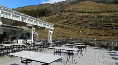 🍇 코코 팜 와이너리(코코 파무 와이나리) 이미지 2